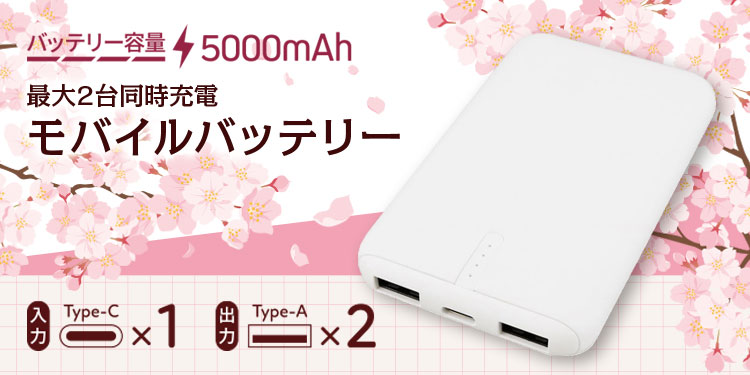 2台同時充電対応 保護機能内蔵モバイルバッテリー 5000mAh
