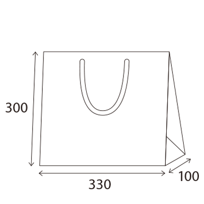紙袋（大）のサイズがわかる画像